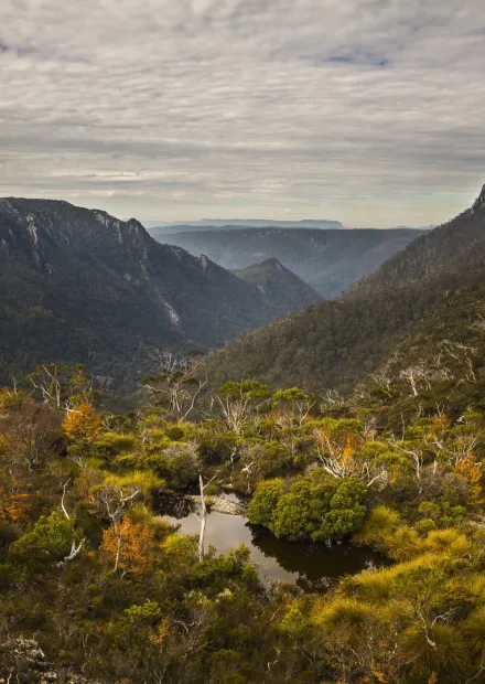 Iconic Walks – Tasmania