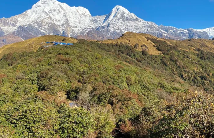 Iconic Himalaya – Mardi trekking