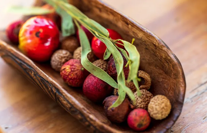 Bush Tucker - Jatbula Walk