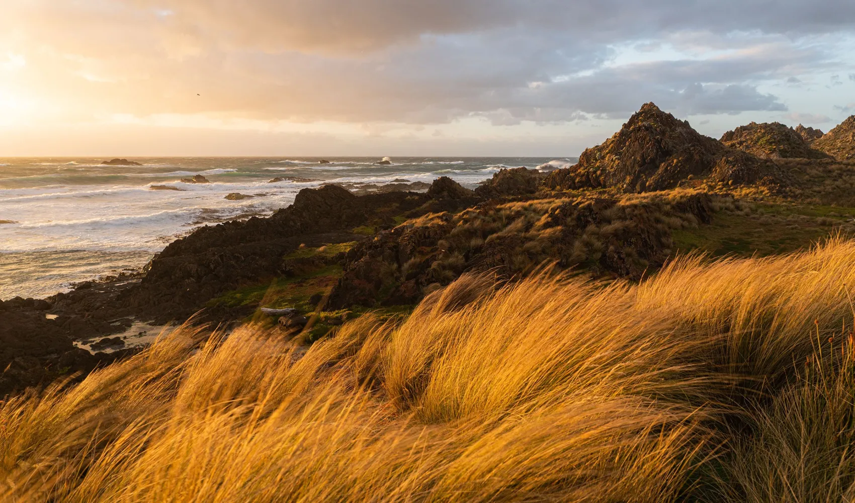 Tasmania Wild West Coast